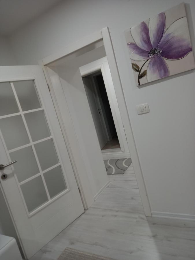 Aine Apartman - Old Bridge Apartment Mostar Bagian luar foto